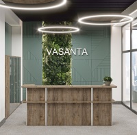 Vasanta