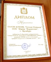 Диплом победителя X областного смотра-конкурса Предприятие торговли современного сервиса, за третье место в номинации Лучший непродовольственный магазин - 2011