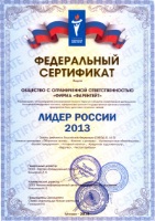 Лидер России 2013